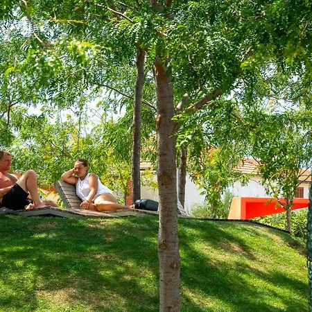 One Bedroom Near In Apartment Jezera
